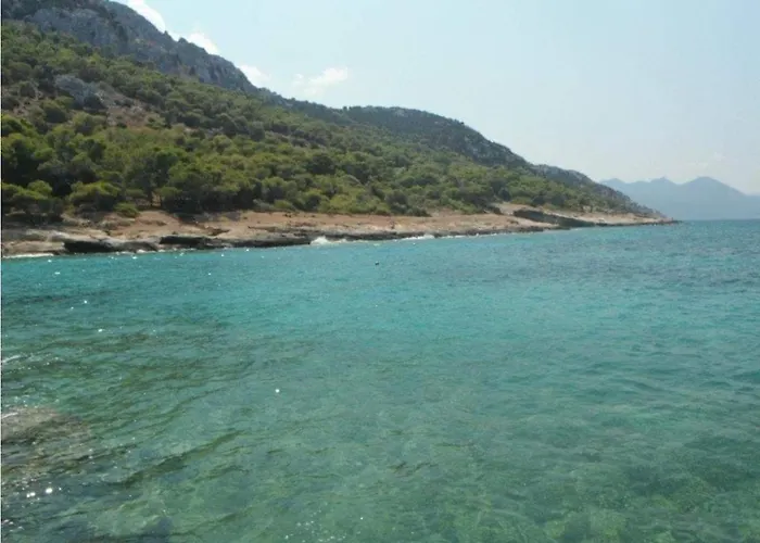 Dimha Studio