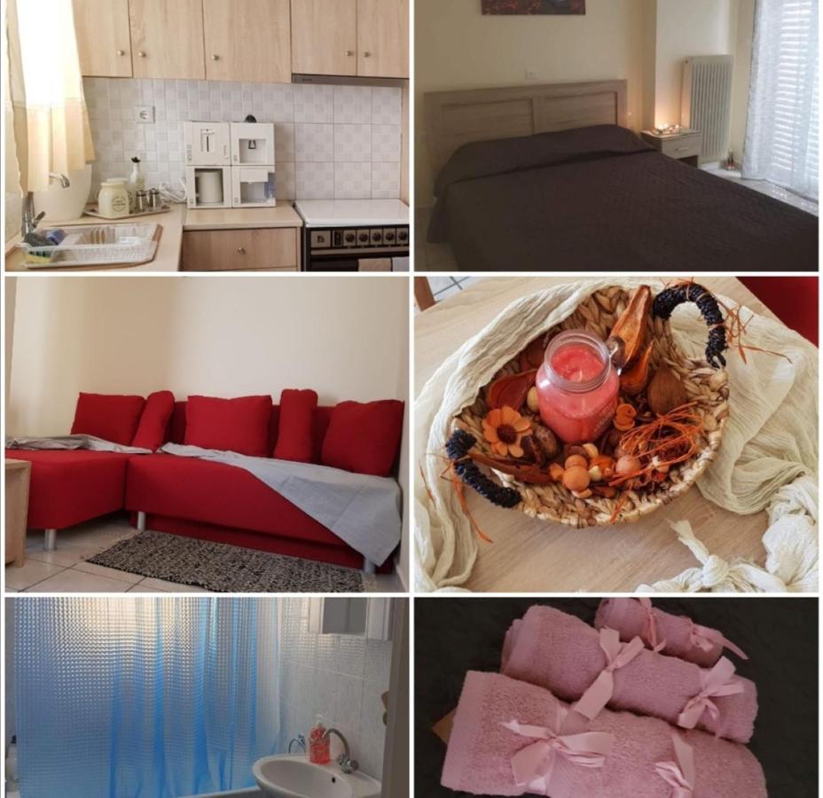 Apartment Dimha *